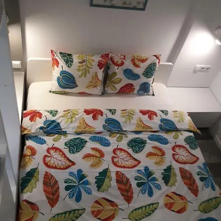 Cozy Apartamento *